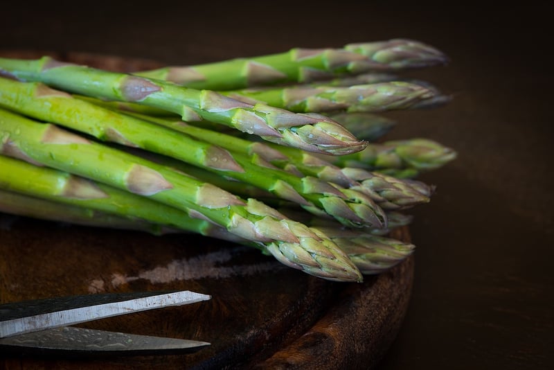 Food Fair Image